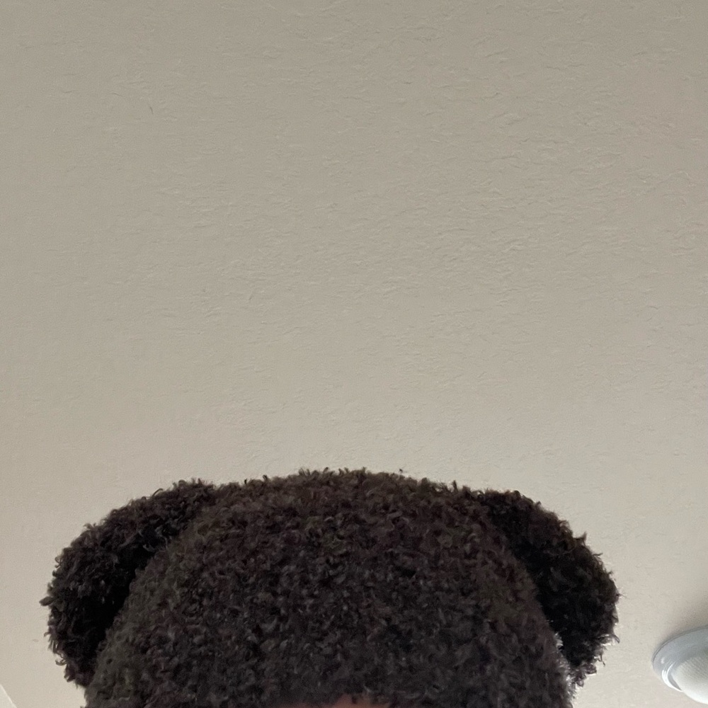 Brown Fuzzy Bear Ear Hat